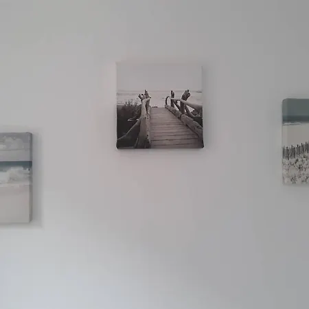 La Canisse 2 : Joli - Sur