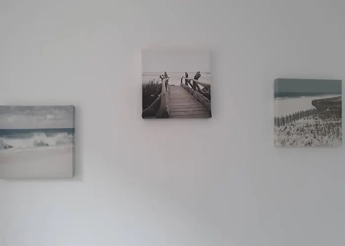 La Canisse 2 : Joli - Sur